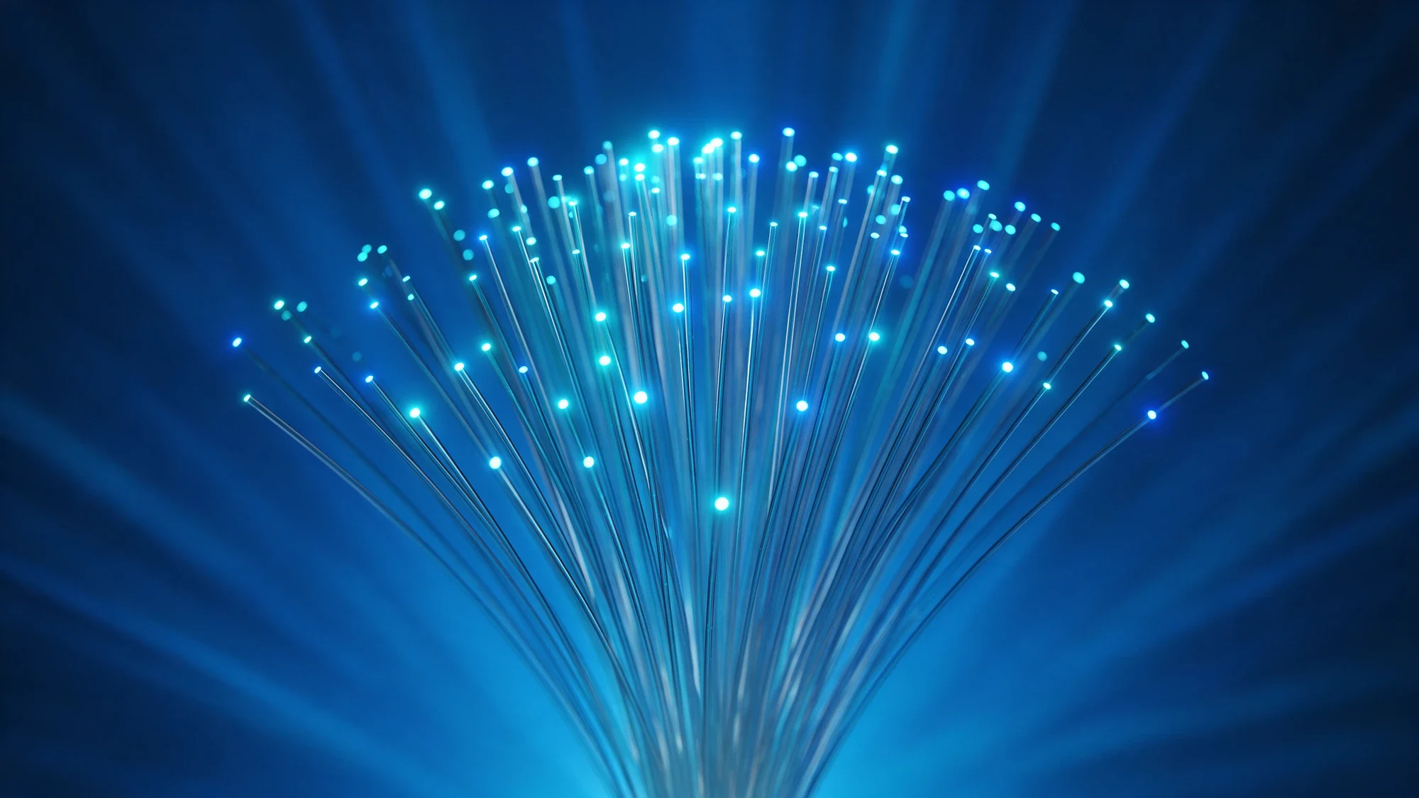 Feixe de fibras ópticas com as pontas acesas em luz azul
